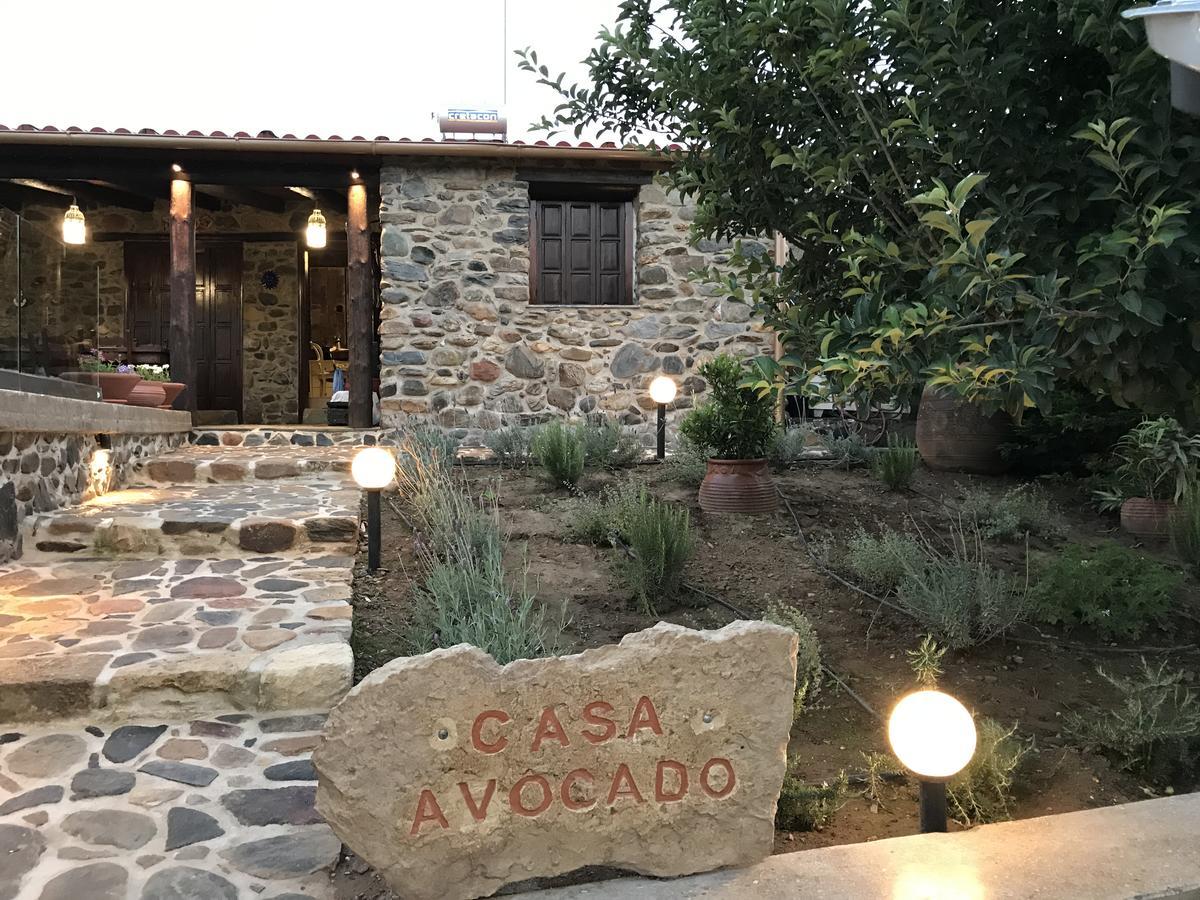 Villa Casa Avocado Tavronitis Eksteriør bilde