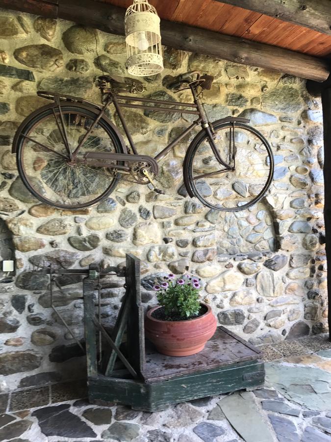 Villa Casa Avocado Tavronitis Eksteriør bilde