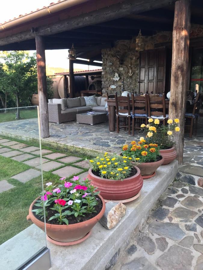 Villa Casa Avocado Tavronitis Eksteriør bilde