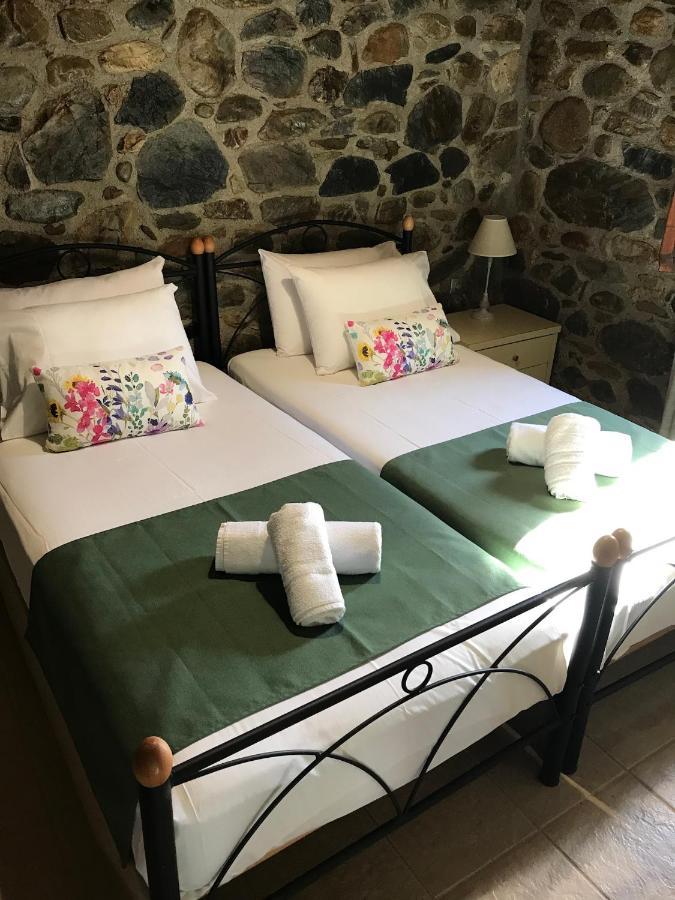 Villa Casa Avocado Tavronitis Eksteriør bilde
